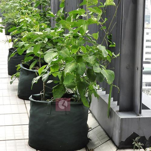 新园艺产品,种植袋,圆形种植袋,便捷美观实用的园艺