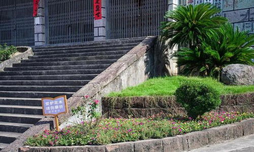 缙云县 微改造 精提升 大量晒 前路乡水口村建花园乡村精品村