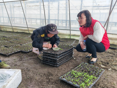 北屏:开展夏季蔬菜种植及育苗管护适用技术培训